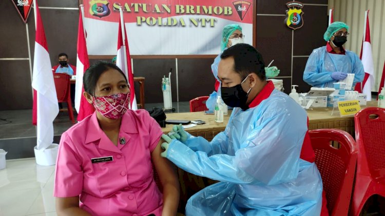 Rev@co Biddokkes Polda NTT Gelar Vaksinasi Covid-19 Untuk Anggota Brimob, Bhayangkari dan Masyarakat