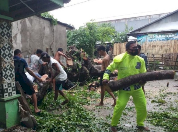 Bentuk Kepedulian, Polisi Gotong Royong Bersama Warga Bantu Bersihkan Pohon Tumbang di Rumah Warga