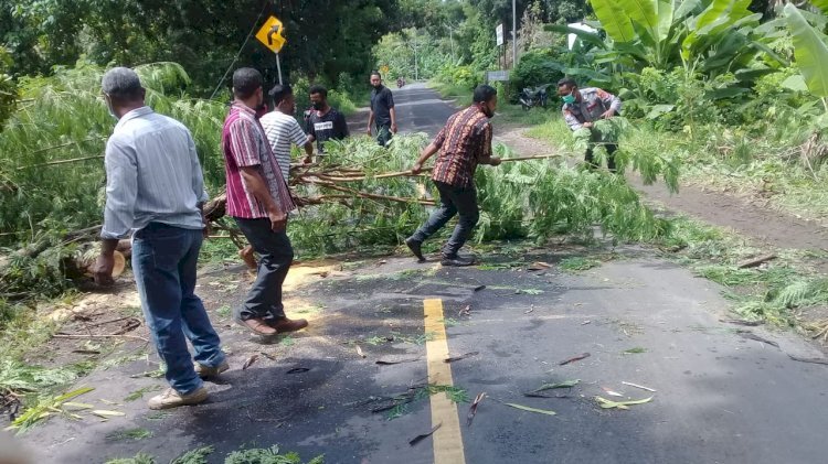 Personil Polsek Waigete Gotong Royong Bersama Warga Bersihkan Pohon Tumbang