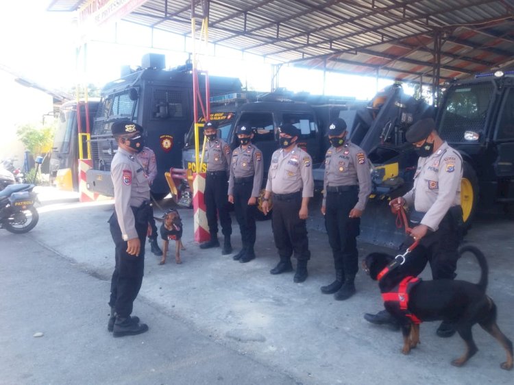 Patroli Humanis di Pelabuhan Bolok, Ditsamapta Polda NTT Kerahkan Unit K9