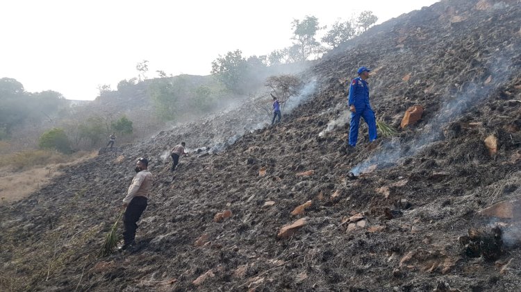 Personel Ditpolair Polda NTT bantu Padamkan Api Kebakaran di Pulau Rinca Taman Nasional Komodo