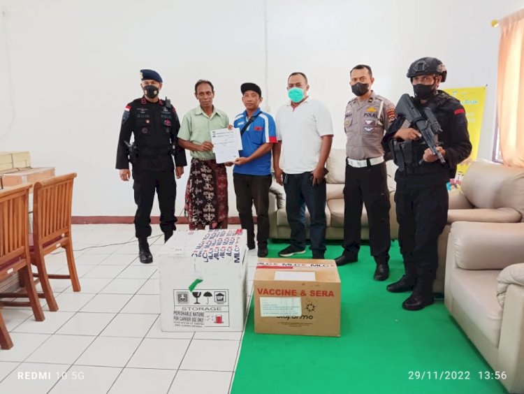 Gabungan Personel Polda NTT Kawal Ketat Kedatangan 1 Koli Vaksin Pfizer dari Pemerintah Pusat di Kupang