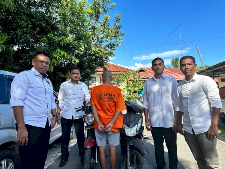 Polres Ende Amankan Seorang Pemuda Pelaku pencurian Sepeda Motor