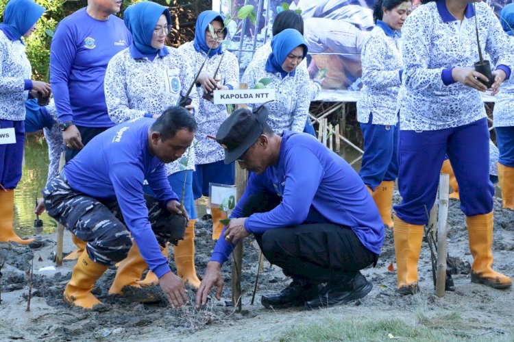 Wakapolda NTT Ikut Penanaman Mangrove Serentak TNI Polri di Tablolong