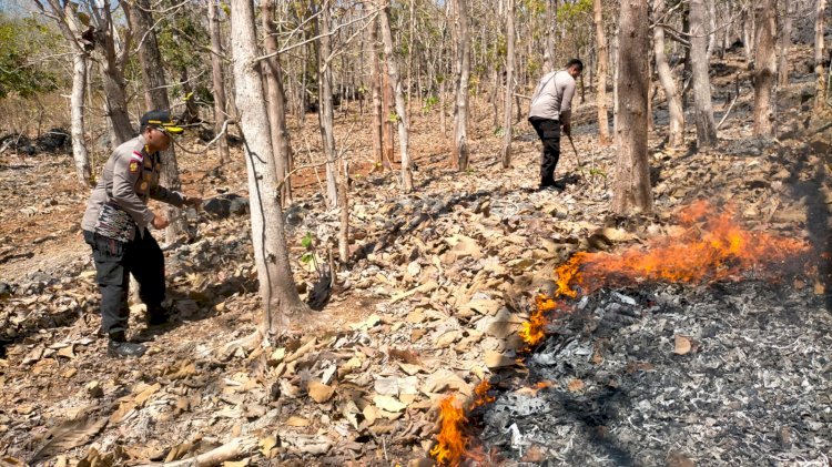 Kendaraan Taktis Water Canon Polres Rote Ndao Bantu Padamkan Kebakaran Lahan di Lingkungan Leli