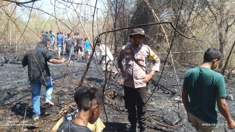 Personel Polsek Kupang Timur Bersama Warga berhasil Pemadamkan Kebakaran Hutan Lindung di Desa Kuanheum