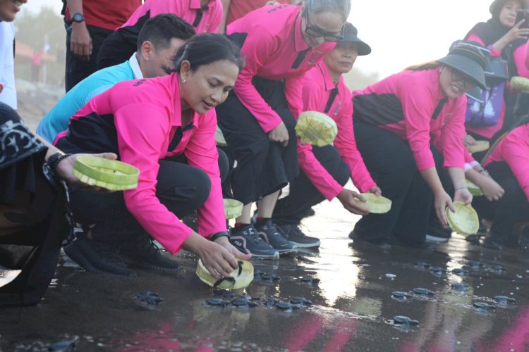 Lestarikan Ekosistem Laut, Bhayangkari Polri Lepas Tukik di Pantai Pangkung Tibah Tabanan