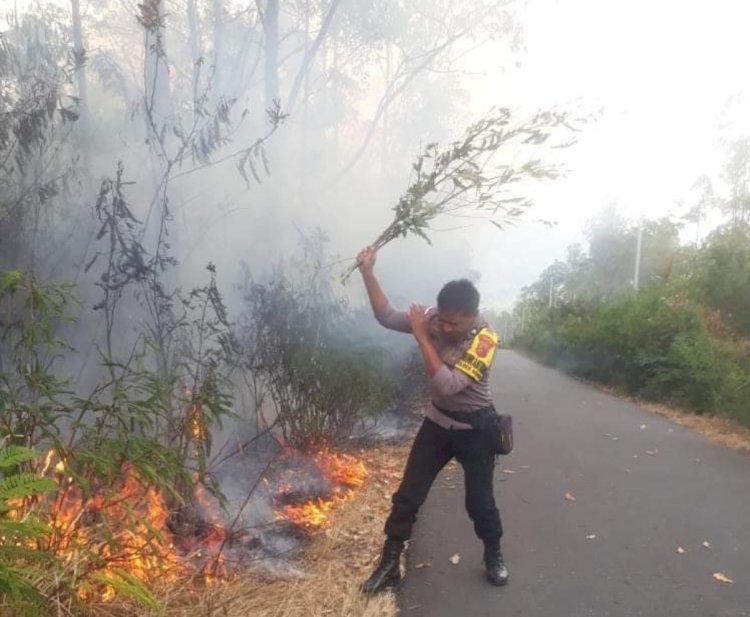 Polres Ngada Berhasil Padamkan Kebakaran Lahan di Lui, Kabupaten Ngada