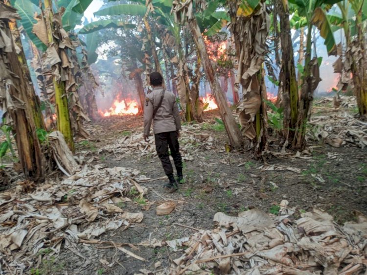 Polsek Wewiku Polres Malaka Gencar Lakukan Patroli Dialogis dan Cegah Kebakaran Lahan