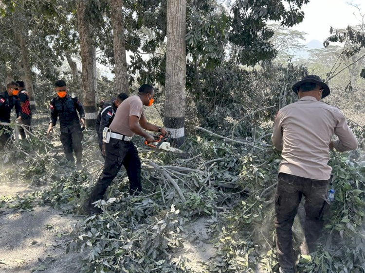 Sinergitas Polri bersama TNI dan Pemda Flotim Tangani Situasi Pasca Erupsi Gunung Api Lewotobi Laki-laki