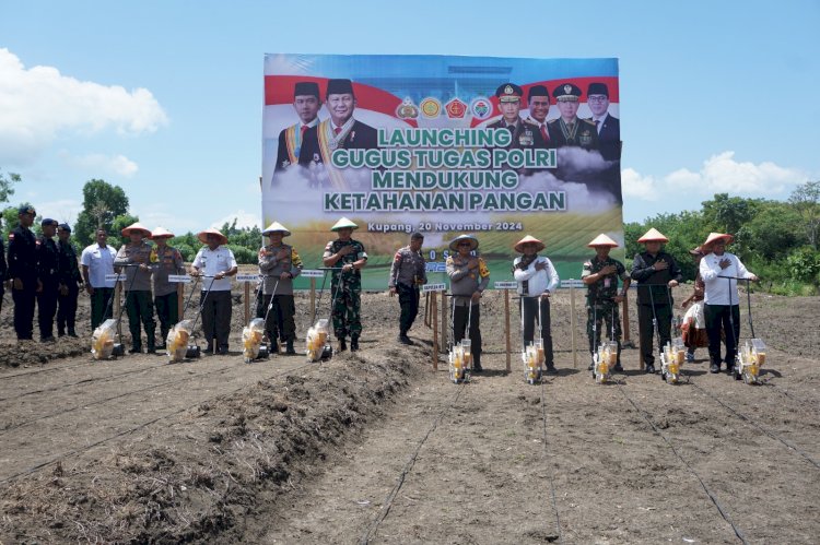 Kolaborasi Polri-TNI dan Pemda : Wujudkan Ketahanan Pangan di NTT Melalui Penanaman Jagung