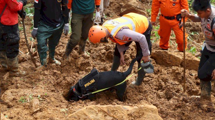 Tim K-9 Polda Jateng Berhasil Temukan Jenazah Bayi 5 Bulan yang Tertimbun Tanah Longsor