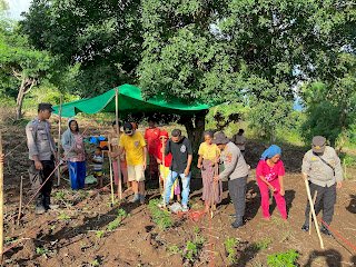 Dukung Ketahanan Pangan, Kapolres Matim Tanam Sorgum dan Kelor Serta Bagikan Sembako kepada Petani