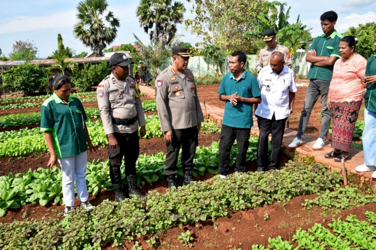 Tim Juri Mabes Polri Tinjau Langsung Lahan P2B Unggulan di Kupang Tengah