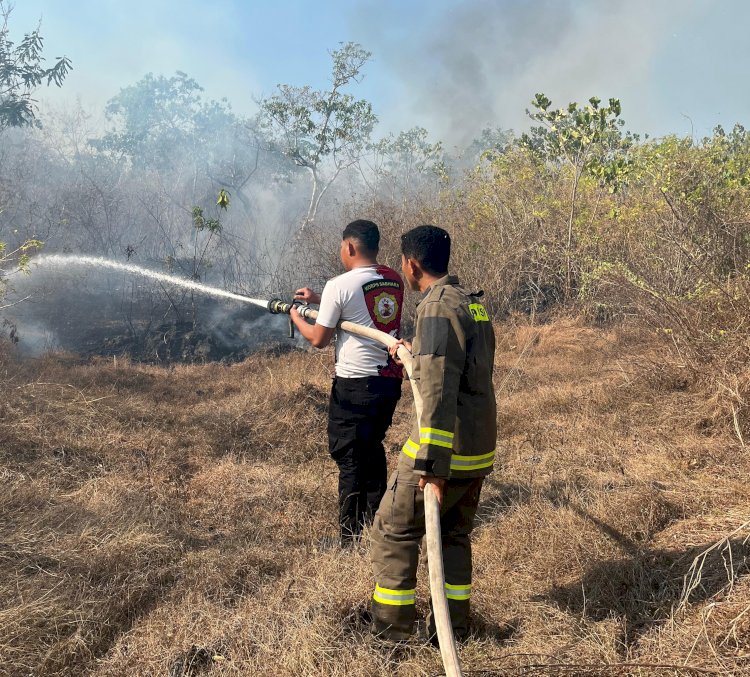 Ditsamapta Polda NTT Bergerak Cepat Padamkan Kebakaran Hutan di Kupang Barat