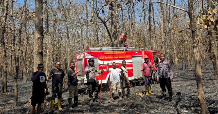 Polres Belu, Polda NTT Respons Cepat Kebakaran Hutan Jati Nenuk
