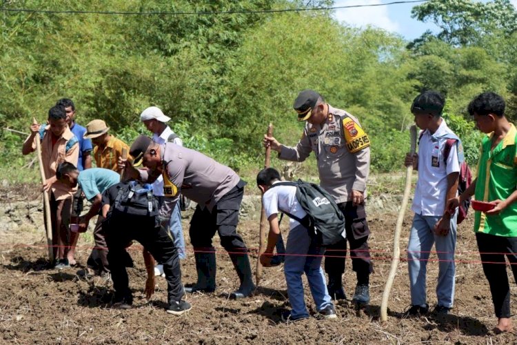 Tanam Jagung Bersama Warga, Polres Sumba Barat Gaungkan Semangat Swasembada Pangan