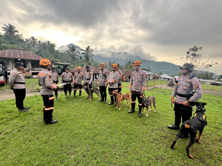 Polda NTT dan Mabes Polri Kerahkan Tim K9 Sisir Sungai Mauponggo, Cari 3 Korban Hilang