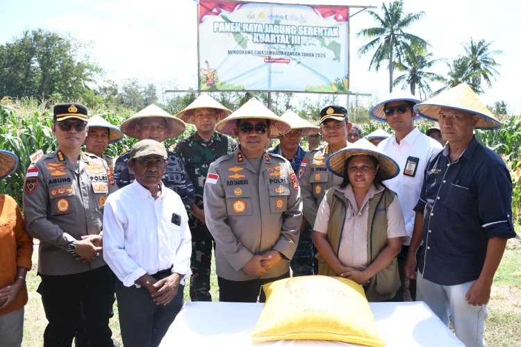 Kapolda NTT Lepas Hasil Panen Jagung, Bukti Sinergi Polri dengan Petani