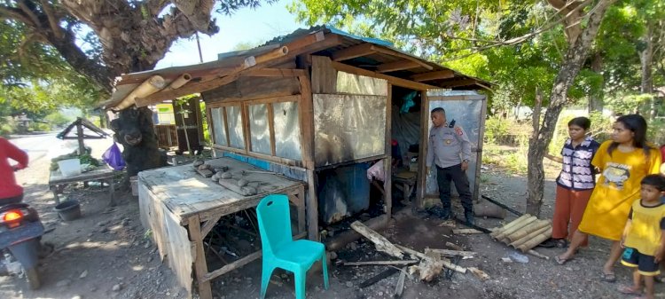 Polda NTT Tindak Tegas Insiden Pembakaran dan Bentrokan Antar Pemuda di Alor, Dua Pemuda diamankan