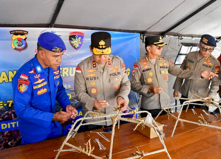 Berkunjung di Mako Ditpolairud, Kapolda NTT Tanam Terumbu Karang Bersama Komunitas, Wujud Nyata Kepedulian Terhadap Laut NTT