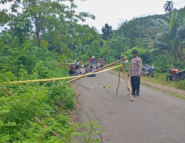 Polda NTT Imbau Warga Waspada Cuaca Ekstrem, Bahu Jalan Trans Utara Ende Terkikis Air