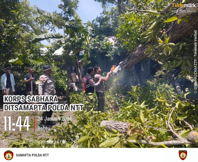 Ditsamapta Polda NTT Sigap Bantu Warga Bakunase, Rumah Tertimpa Pohon Tumbang Berhasil Dievakuasi
