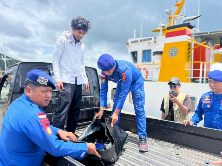 Ditpolairud Polda NTT Selamatkan Penyu Sisik di Perairan Labuan Bajo