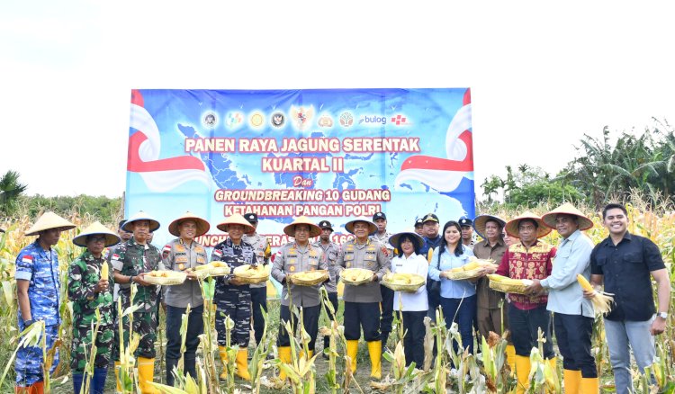 Di Tengah Hujan, Kapolda NTT Pimpin Semangat Ketahanan Pangan Lewat Panen Raya Jagung 2026