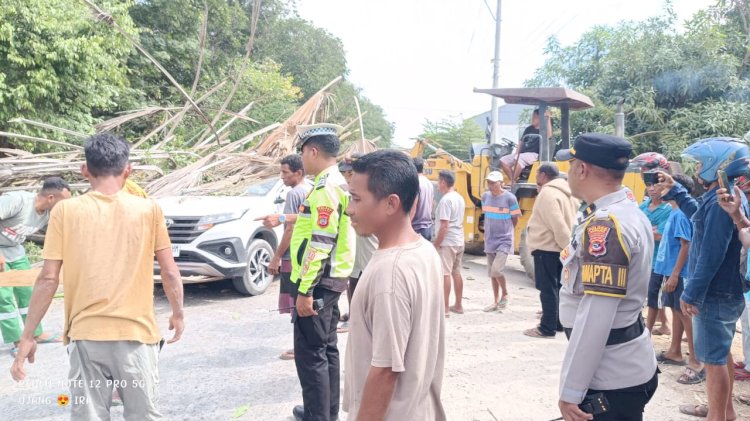 Sigap Tangani Pohon Tumbang Akibat Angin Kencang, Polres Kupang Imbau Masyarakat Tingkatkan Kewaspadaan