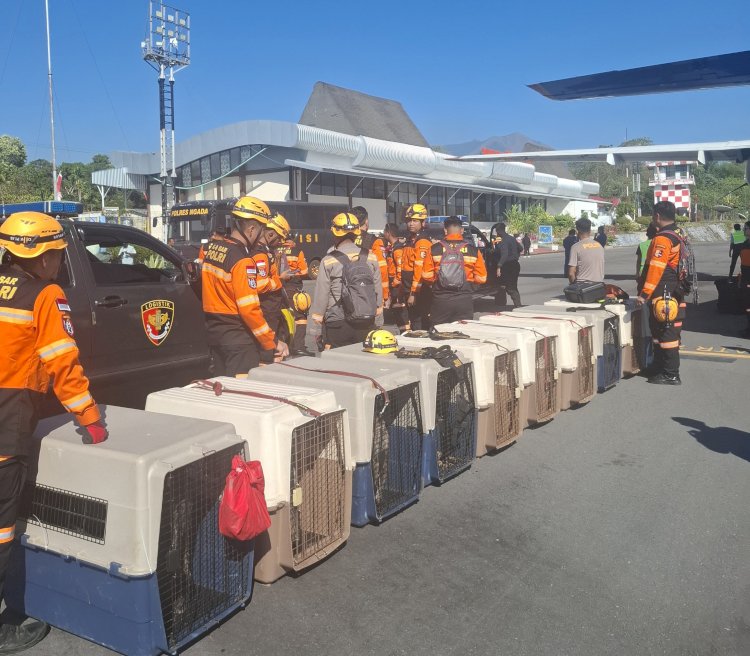 Misi Kemanusiaan Gempa Flores, Personel Mabes Polri dan 10 K-9 Tiba di Ngada