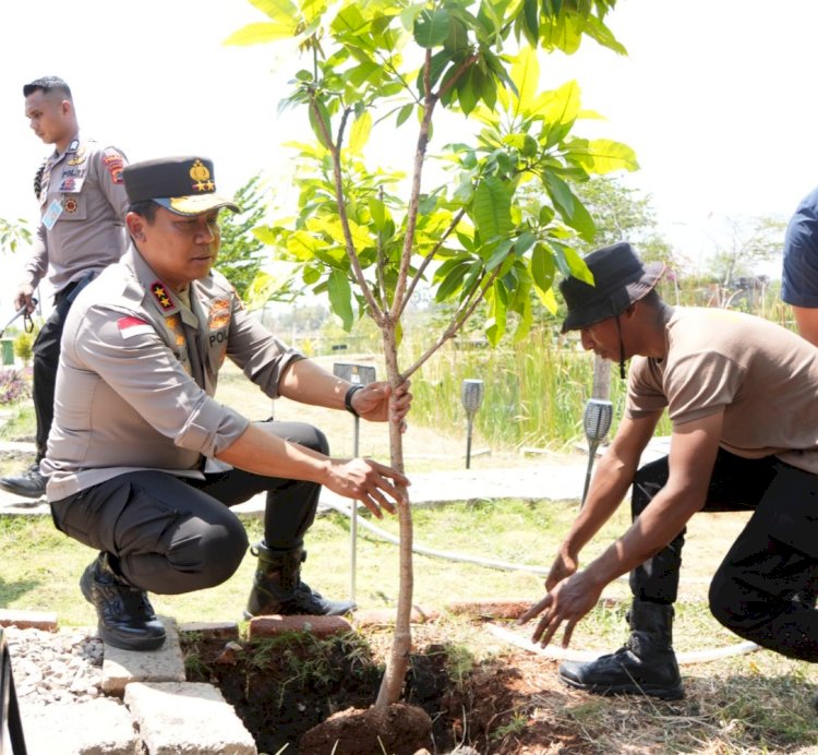 Kunjungan ke Polres Kupang, Kapolda dan Wakapolda NTT Tanam Pohon dan Tinjau Penyemaian Bibit Kelor