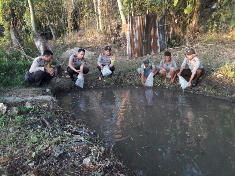 Bantu masyarakat desa Tanarara dan desa Kambuhapang, Kapolsek Lewa serahkan 1.250 bibit ikan dan 1 karung makanan ikan