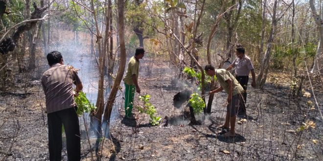 Bersama Masyarakat, Anggota Polsek Tasifeto Timur Padamkan Kebakaran Lahan Kebun Jati di Desa Dafala