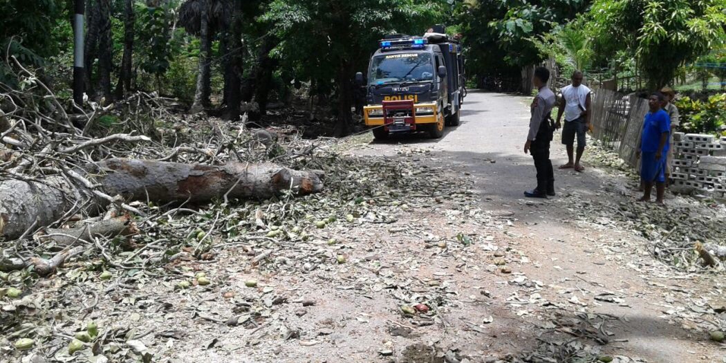 Personil Polsek Lobalain Bersama Warga Evakuasi Pohon Tumbang