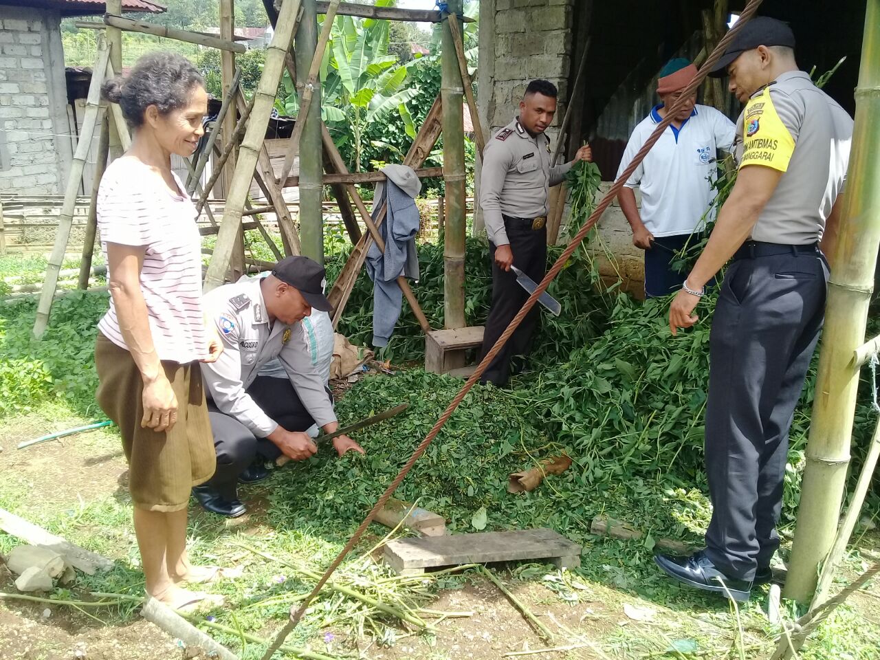 Kanit Binpolmas dan Bhabinkamtibmas Kel. Waso Polres Manggarai beri pelatihan pembuatan pupuk organik bokashi kepada petani
