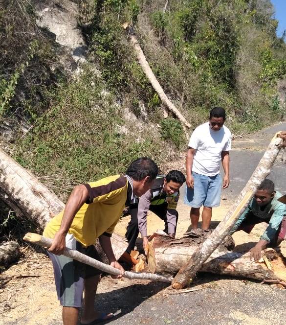 Bhabinkamtibmas Desa Satar Punda bersama warga gotong royong mengevakuasi pohon tumbang yang menghalangi badan jalan.