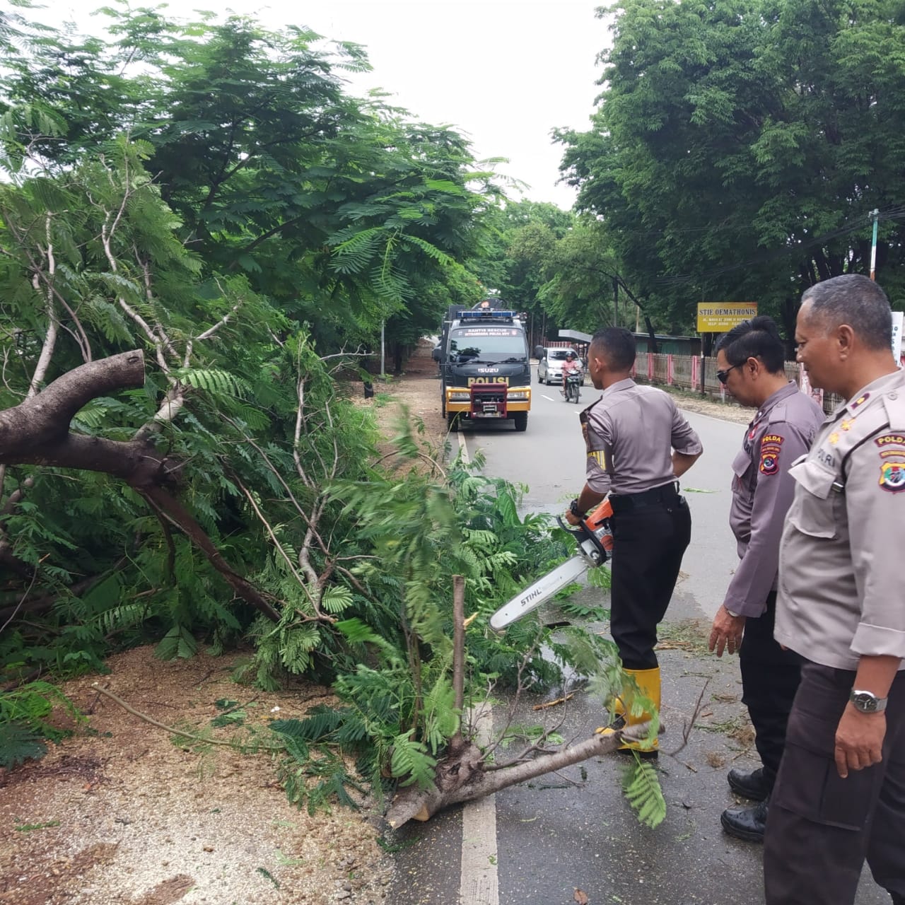 Reaksi Cepat Tim Pammat Ditsamapta Polda NTT Evakuasi Pohon Tumbang