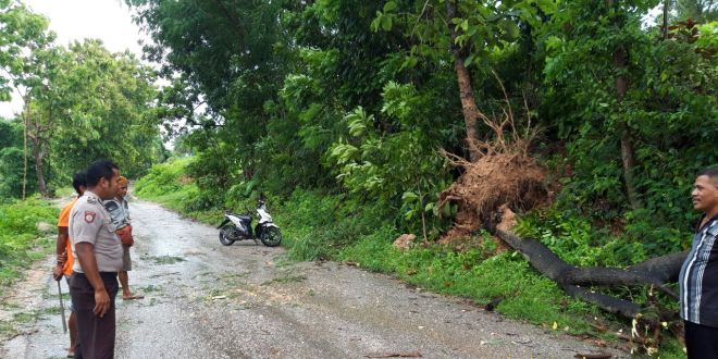 Pulihkan Kondisi Jalan, Brigpol Oktavianus Ajak Warga Bersihkan Pohon Tumbang