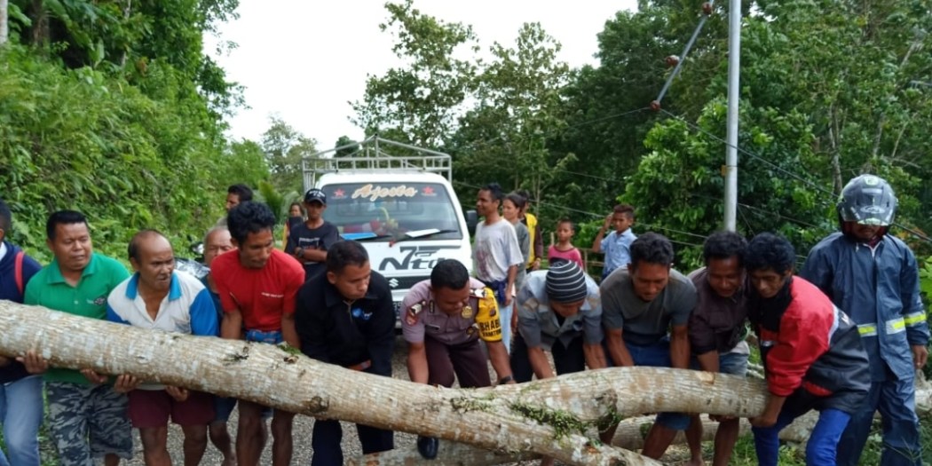 Pohon Tumbang di Badan Jalan, Bhabinkamtibmas & Warga Desa Pindahkan Bersama