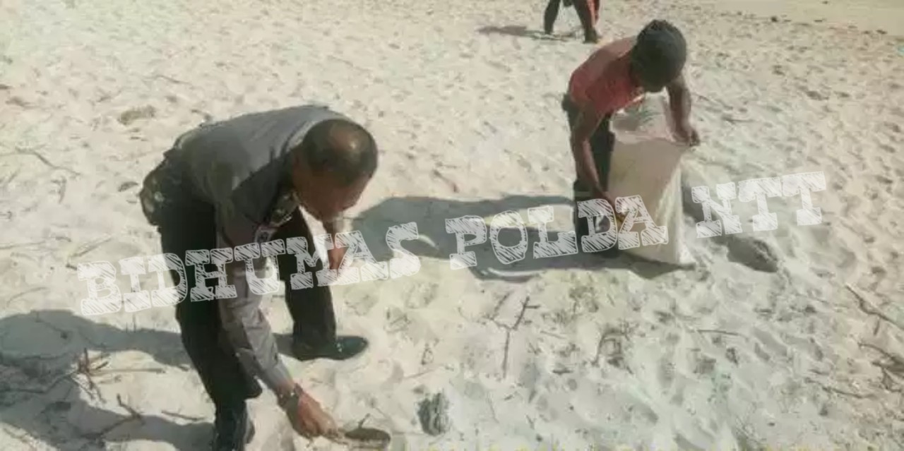 Sambut Hari Bhayangkara Ke 73, Polres Sumba Timur Gelar Bersih Sampah di Pantai Walakiri dan Taman Kota Waingapu