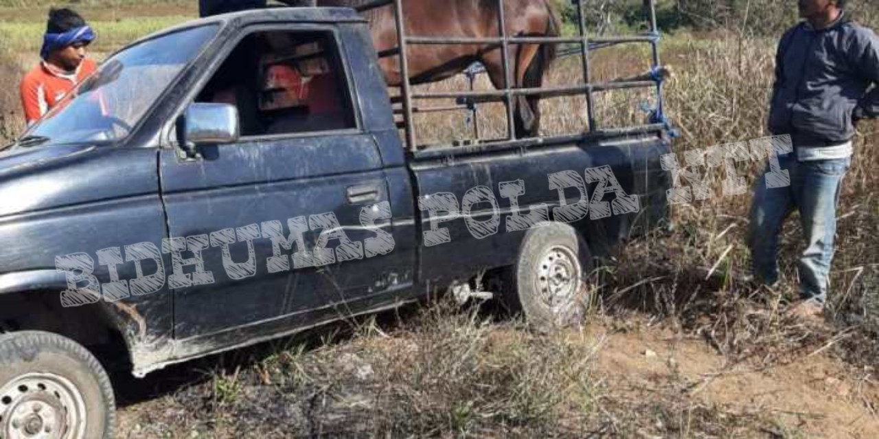 Kuda Pacu Milik Warga Yang Dicuri Berhasil Ditemukan Oleh Jajaran Polsek Lewa