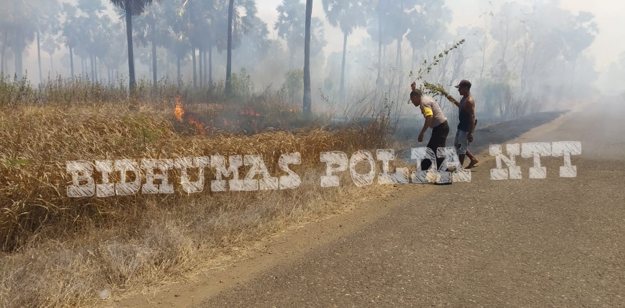 Personel Polsubsektor Ile Ape Dibantu Warga Berhasil Padamkan Api di lahan