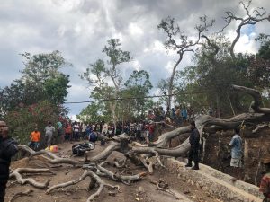 Unit Identifikasi Polres TTS Lakukan Olah TKP Pohon Tumbang Menimpa Warga