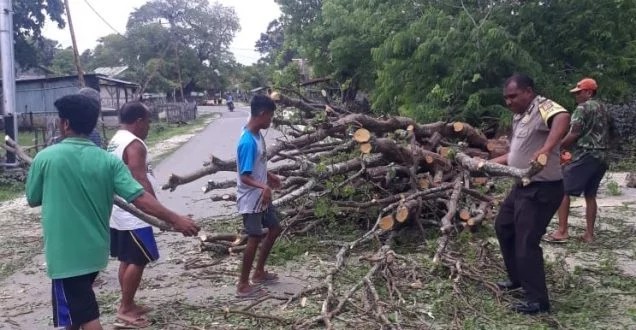 Bripka Dominikus Bantu Warganya Evakuasi Pohon Tumbang Halangi Jalan Raya