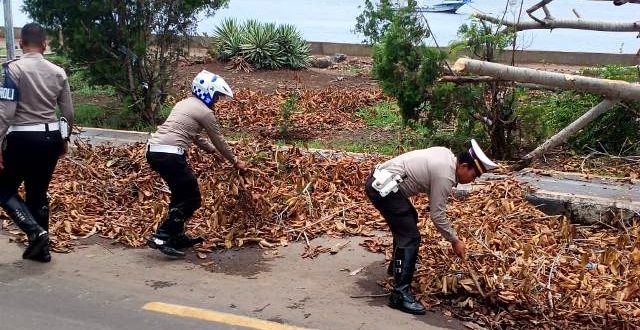 Anggota Satlantas Polres Flotim Bersihkan Jalan Pasca Terjadinya Pohon Tumbang di Jalan
